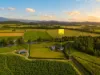 430 Cowley Beach Road, Lower Cowley, Qld 4871-Image