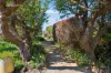 430 Staverton Road, Promised Land, Tas 7306-Image