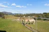 430 Staverton Road, Promised Land, Tas 7306-Image