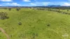 430 Wilmott Road, East End, Qld 4695-Image
