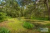 431 Borton Road, Tullera, NSW 2480-Image