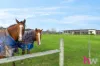 431 Harvey Road, Murgheboluc, Vic 3218-Image