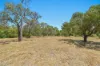 431 North Road, Langwarrin South, Vic 3911-Image