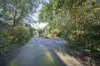 432 Belgrave Gembrook Road, Emerald, Vic 3782-Image
