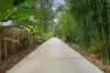 433 Oregan Creek Road, Toogoom, Qld 4655-Image