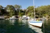 433 Willarong Road, Caringbah South, NSW 2229-Image