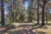 4334 Olympic Highway, Young, NSW 2594-Image