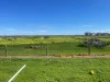 434 Scenic Drive, Warnertown, SA 5540-Image