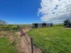 434 Scenic Drive, Warnertown, SA 5540-Image