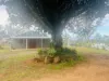 436 Sugarbag Road, Drake NSW 2469-Image