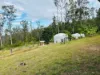 436 Sugarbag Road, Drake NSW 2469-Image