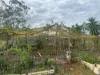 436 Sugarbag Road, Drake NSW 2469-Image