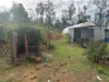 436 Sugarbag Road, Drake NSW 2469-Image
