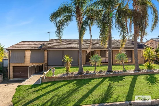 437 Rose Street, Lavington, NSW 2641 - For Rent