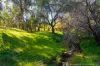 438 Beechworth Wodonga Road, Beechworth, Vic 3747-Image