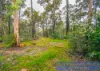 439 Hester Road, Bridgetown, WA 6255-Image
