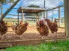 439 Natone Road, Natone, Tas 7321-Image