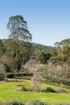 44-48 Barbers Road, Kalorama, Vic 3766-Image