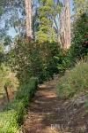 44-48 Barbers Road, Kalorama, Vic 3766-Image