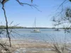 44 Albert Street, Taylors Beach, NSW 2316-Image