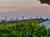44 Allowrie Street, Stafford, Qld 4053-Image