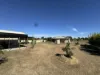 44 Bramston Street, Banana, Qld 4702-Image