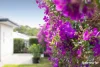 44 Bronzewing Circuit, Bahrs Scrub, Qld 4207-Image