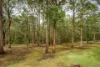44 Burrawan Drive, Wauchope, NSW 2446-Image