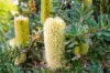 44 Coolstore Road, Huonville, Tas 7109-Image