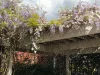 44 Cosmo Road, Trentham, Vic 3458-Image