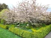 44 Cosmo Road, Trentham, Vic 3458-Image
