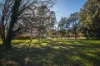 44 Debenham Street, Mawson, ACT 2607-Image