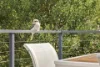 44 Eastcote Road, North Epping, NSW 2121-Image
