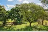 44 Ferntree Creek Road, Kulangoor, Qld 4560-Image