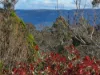 44 Great Western Highway, Wentworth Falls, NSW 2782-Image
