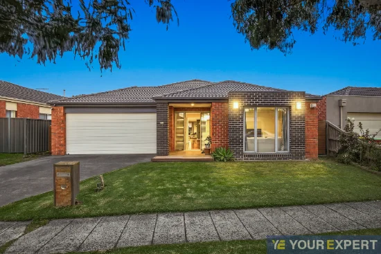 44 Hal Porter Terrace, Lynbrook, Vic 3975
