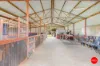 44 Heinz Street, East Bendigo, Vic 3550-Image