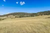 44 Huntingdon Tier Road, Dysart, Tas 7030-Image