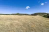 44 Huntingdon Tier Road, Dysart, Tas 7030-Image