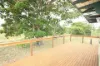 44 Jefferis Road, Beecher, Qld 4680-Image