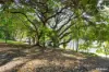 44 Keesing Road, Douglas, Qld 4814-Image