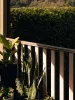 44 Lambert Road, Bardwell Park, NSW 2207-Image