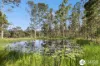 44 Lindon Lane, Sherwood, NSW 2440-Image
