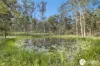 44 Lindon Lane, Sherwood, NSW 2440-Image
