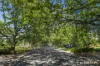 44 Mackennal Street, Lyneham, ACT 2602-Image