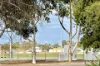 44 Medley Terrace, Wudinna, SA 5652-Image