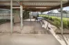 44 Murray Street, Piangil, Vic 3597-Image