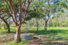 44 Pioneer Drive, Humpty Doo, NT 0836-Image