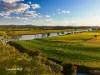 44 Ritchie Crescent, Taree, NSW 2430-Image