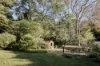 44 Rose Parade, Mount Pleasant, NSW 2519-Image